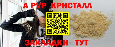 стафф Заводоуковск