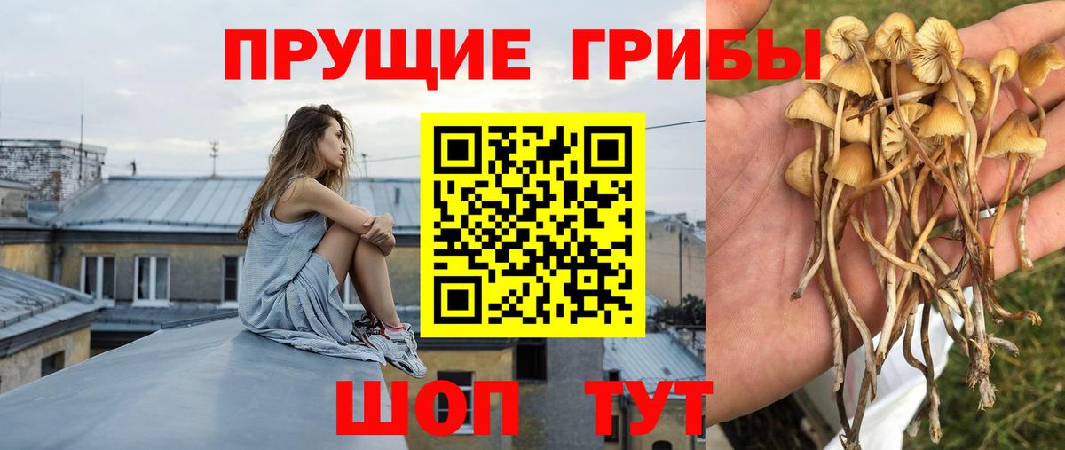 Гуково  Псилоцибиновые грибы MAGIC MUSHROOMS  Вход с VPN 